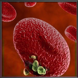 Antimalarial medication